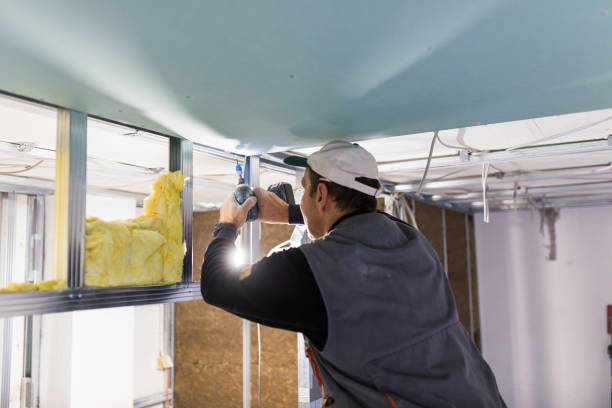 Best Cellulose Insulation in Delaware, OH