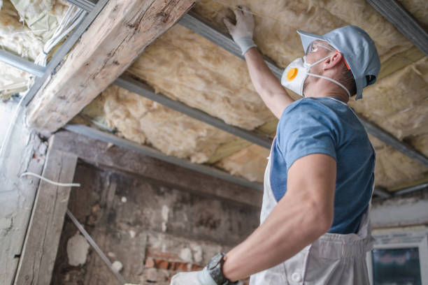 Best Geographic-Specific Insulation Services in Delaware, OH