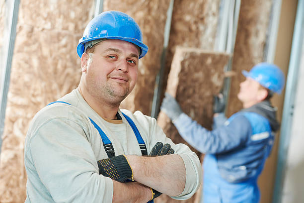 Best DIY Insulation Kits and Guidance in Delaware, OH